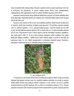 Отчёт по практике 'Ilzeskalna poligona ģeoloģiskā uzbūve, reljefs un mūsdienu ģeoloģiskie procesi', 17.