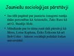 Презентация 'Jaunatnes socioloģija', 5.