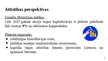 Презентация 'Latvijas akciju tirgus analīze', 11.