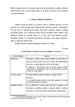 Бизнес план 'Biznesa plāns uzņēmējdarbībā', 12.