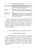 Бизнес план 'Biznesa plāns uzņēmējdarbībā', 13.