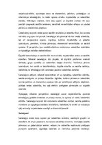 Эссе 'Socioloģija: sabiedrības struktūra, sociālās attiecības un pārmaiņu dinamika”', 5.