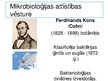 Презентация 'Mikrobioloģijas attīstības vēsture', 7.