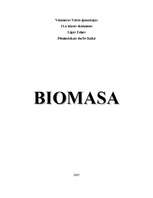 Реферат 'Biomasa', 1.