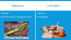 Презентация 'English-Latvian False Friends', 15.