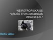 Презентация 'Neirotropiskaiss vīruss - trakumsērgas izraisītājs', 1.