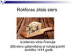 Презентация 'Rokforas zilais siers', 3.