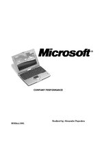 Реферат 'Microsoft Incoroporation Company Performance', 1.
