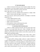 Отчёт по практике 'Kvalifikācijas darbs komercdarbībā', 18.