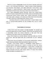 Реферат 'J.Vītola kordziesmas analīze  - Karaļmeita', 10.