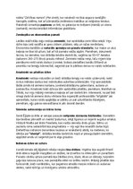 Конспект 'Seno ēģiptiešu vēsture, kultūra, mitoloģija, sabiedrība un kultūras mantojums', 12.