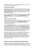 Конспект 'Seno ēģiptiešu vēsture, kultūra, mitoloģija, sabiedrība un kultūras mantojums', 14.