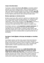 Конспект 'Seno ēģiptiešu vēsture, kultūra, mitoloģija, sabiedrība un kultūras mantojums', 38.