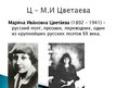 Презентация 'Русская литература от А до Я', 25.