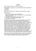 Реферат 'The demand of technical translation these days', 3.