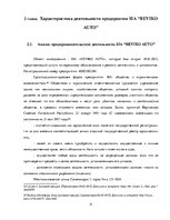 Дипломная 'Разработка стратегии развития бизнеса для предприятия ООО "Reviko Auto"', 31.