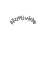 Реферат 'Multivide', 1.