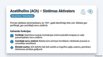 Презентация 'Smadzeņu ķīmiskā arhitektūra', 5.
