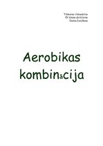 Образец документа 'Aerobikas kombinācija', 1.