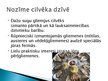 Презентация 'Gliemji, gliemeži', 11.