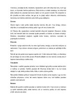 Конспект 'Rūdolfs Blaumanis “Skroderdienas Silmačos”', 5.