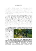 Эссе '"Dvēseļu putenis" filmas analīze', 1.