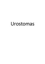 Конспект 'Urostomas', 1.