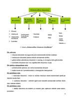 Дипломная 'Grāmatvedības dokumentu klasifikācija un organizācija uzņēmumā SIA ”X”', 6.