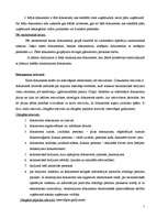Дипломная 'Grāmatvedības dokumentu klasifikācija un organizācija uzņēmumā SIA ”X”', 7.
