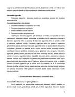 Дипломная 'Grāmatvedības dokumentu klasifikācija un organizācija uzņēmumā SIA ”X”', 9.