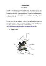 Реферат 'Apskata Referāts', 4.
