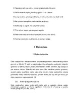 Реферат 'Apskata Referāts', 10.