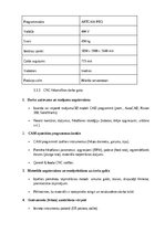 Реферат 'Apskata Referāts', 20.