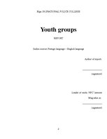 Реферат 'Youth Groups', 2.