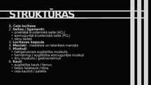 Презентация 'Ceļa hiperekstensija', 3.