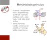 Презентация 'Elektroenerģijas ražošanas principi', 8.