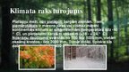 Презентация 'Platlapju mežu ekosistēma', 3.
