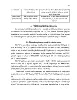 Дипломная 'Krājumu uzskaites pilnveide mazumtirdzniecības uzņēmumā', 24.