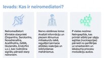 Презентация 'P viela kā neiromediators un neiropeptīds', 2.