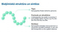 Презентация 'P viela kā neiromediators un neiropeptīds', 4.