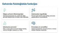 Презентация 'P viela kā neiromediators un neiropeptīds', 6.