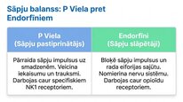 Презентация 'P viela kā neiromediators un neiropeptīds', 12.