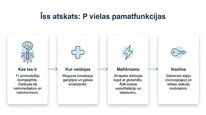 Презентация 'P viela kā neiromediators un neiropeptīds', 13.