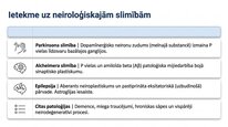 Презентация 'P viela kā neiromediators un neiropeptīds', 15.
