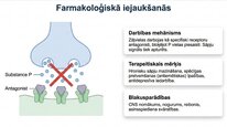 Презентация 'P viela kā neiromediators un neiropeptīds', 16.
