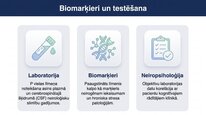 Презентация 'P viela kā neiromediators un neiropeptīds', 20.