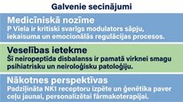 Презентация 'P viela kā neiromediators un neiropeptīds', 24.