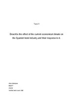 Конспект 'Describe the Effect of the Current Economical Climate on the Spanish Hotel Indus', 1.