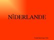 Презентация 'Nīderlande', 1.