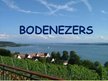 Презентация 'Alpi un Bodenezers', 20.